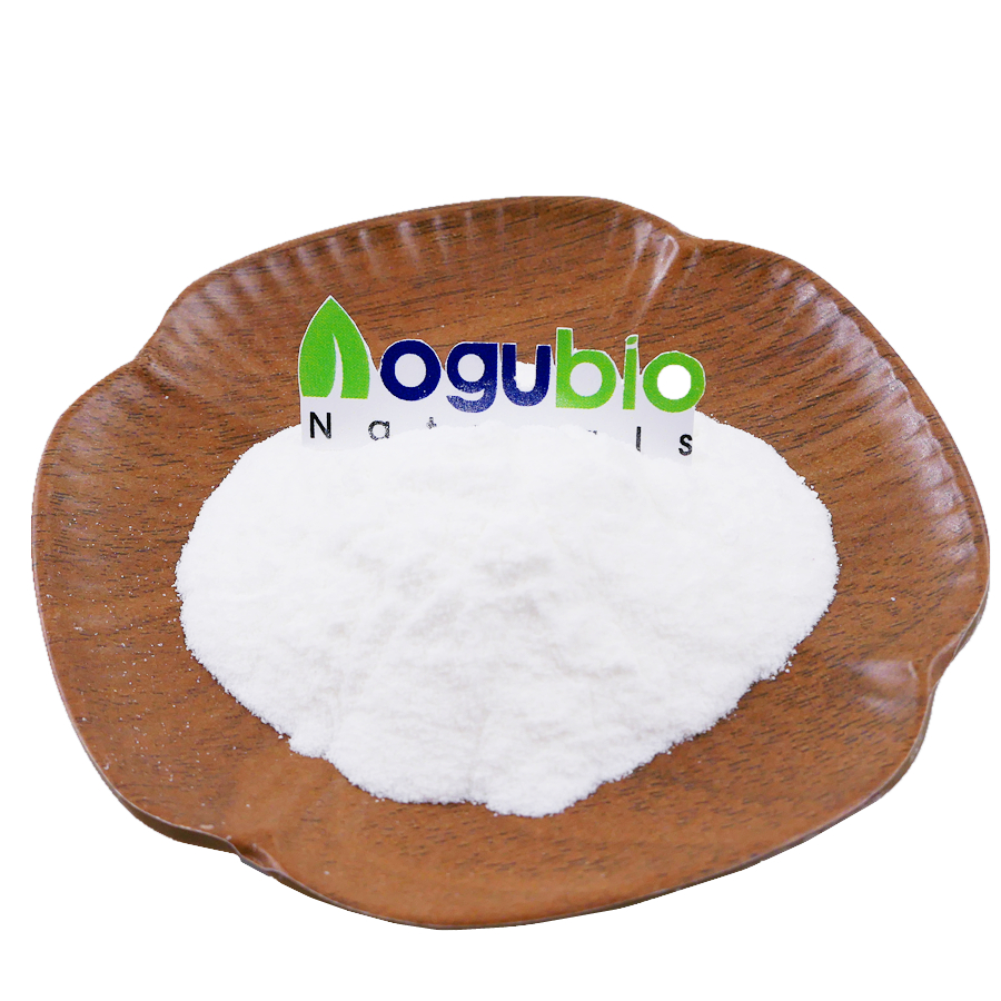 Eco friendly High Quality PLA Powder